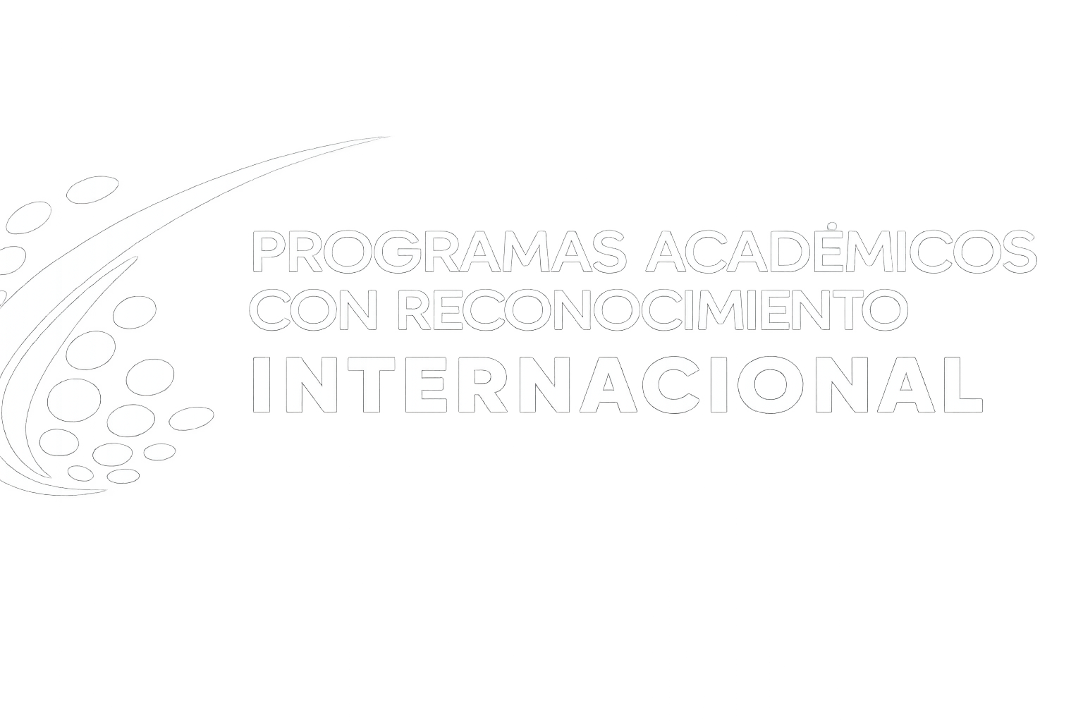 Programas Académicos con Reconocimiento Internacional