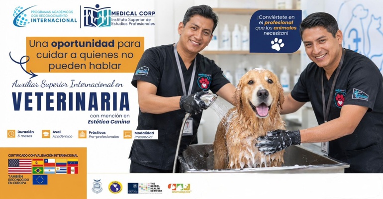 Auxiliar Superior Internacional en Veterinaria